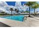 Beautiful community pool surrounded by palm trees and offering a serene outdoor space at 4779 Pastel Ct, Sarasota, FL 34240