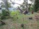 Backyard with overgrown vegetation and mature trees at 1814 6Th E Ave, Bradenton, FL 34208