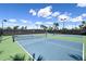 Two pickleball courts with nets and surrounding landscape at 788 Sigsbee Loop, Sarasota, FL 34240