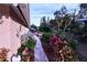 Landscaped garden path alongside home exterior at 2426 Nassau St, Sarasota, FL 34231