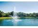 Serene fountain in a community lake at 2957 Wilderness E Blvd, Parrish, FL 34219