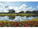 Serene pond with lush greenery and reflection of clouds at 2957 Wilderness E Blvd, Parrish, FL 34219