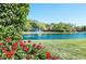 Pond with fountain and red flowers at 2957 Wilderness E Blvd, Parrish, FL 34219