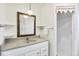 Well-lit bathroom featuring a white vanity, decorative mirror, and a walk-in shower at 2271 Sandlewood Dr, Venice, FL 34293