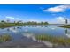 Tranquil lake view reflecting clouds and trees at 2417 Waterfront Cir, Sarasota, FL 34240