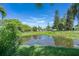 Peaceful backyard view of a pond and lush greenery at 6308 Lilac Pl, Sarasota, FL 34231