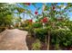 Pathway leads to the home through an archway of flowering vines at 1810 Lincoln Dr, Sarasota, FL 34236