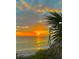 Dramatic sunset over the ocean featuring lush vegetation and warm sunlight at 204 Crew Ct, Sarasota, FL 34243