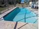 Screened swimming pool with crystal-clear water and an inviting deck area at 27425 Jones Loop Rd, Punta Gorda, FL 33982