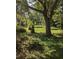 Sprawling backyard with mature trees, lush greenery, and a tranquil setting at 39200 Cook Brown Rd, Punta Gorda, FL 33982