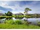 Scenic backyard view featuring a tranquil pond and lush greenery for a serene outdoor living experience at 8737 Pebble Creek Ln, Sarasota, FL 34238