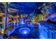 Enclosed pool area featuring rock waterfall feature with underwater lights and tropical plants at 11432 Savannah Lakes Dr, Parrish, FL 34219