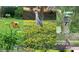 Collage of wildlife on the property including birds, butterflies, and a squirrel at a bird feeder at 395 W Rossetti Dr, Nokomis, FL 34275
