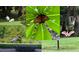 Collage of wildlife on the property including ibises, butterflies, egrets and a roseate spoonbill at 395 W Rossetti Dr, Nokomis, FL 34275