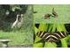 Collage of wildlife on the property including cranes, ducks and a butterfly at 395 W Rossetti Dr, Nokomis, FL 34275