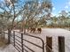 Horse paddock with gated entry, sandy ground and mature oak trees with moss at 8107 High Oaks Trl, Myakka City, FL 34251