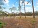 Scenic property featuring a lengthy driveway flanked by scattered pines and rustic ranch-style fencing at 8107 High Oaks Trl, Myakka City, FL 34251