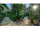 Backyard stone walkways provide access throughout the lush tropical foliage and manicured plants at 3178 Dick Wilson Dr, Sarasota, FL 34240