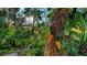 Lush backyard foliage and decorative plants adorn the trees in this relaxing outdoor space at 3178 Dick Wilson Dr, Sarasota, FL 34240