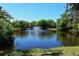 Picturesque pond with a fountain surrounded by lush greenery and a clear blue sky at 2264 Floyd St, Sarasota, FL 34239