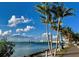 Beautiful waterfront view with palm trees and a modern bridge in the distance under a blue sky at 2264 Floyd St, Sarasota, FL 34239