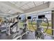 Fully equipped gym with treadmills, ellipticals, and TVs, set against a backdrop of tranquil lake views at 6310 Watercrest Way # 201, Lakewood Ranch, FL 34202