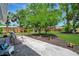 Lush backyard featuring a large tree, well-manicured lawn, and inviting outdoor seating area at 3902 11Th W Ave, Bradenton, FL 34205