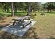 Picnic tables in grassy area with mature trees providing lots of shade in the park at 1774 10Th St, Sarasota, FL 34236