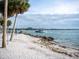 Picturesque waterfront view with palm trees, a boat cruising by, and a serene coastal atmosphere at 101 S Gulfstream Ave # 10E, Sarasota, FL 34236