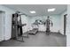 Well-equipped gym with a treadmill, weights, and workout machines for a convenient fitness routine at 304 Pine Run Dr, Osprey, FL 34229
