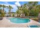 Backyard pool featuring a brick paver patio, lounge chairs, and lush landscaping at 727 Holly Rd, Anna Maria, FL 34216