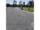 Street view showcasing well-maintained houses, green lawns, and mature palm trees at 3314 Mcdill Rd # 3314, Bradenton, FL 34207