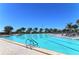 Large outdoor swimming pool with lounge chairs and tropical palm trees on a sunny day at 5740 Midnight Pass Rd # 307, Sarasota, FL 34242