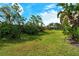 Sprawling green backyard with mature trees and landscaping, perfect for outdoor activities at 6630 Horned Owl Pl, Sarasota, FL 34241