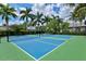 Outdoor pickleball court surrounded by lush landscaping and palm trees at 2722 Sapphire Blue Ln, Bradenton, FL 34211
