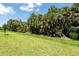 Lush green grass contrasts with a line of palm trees under a blue sky, showing vibrant landscaping at 8024 Moonbeam Ave, Sarasota, FL 34241