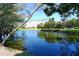 Picturesque pond reflecting lush trees on a sunny day, perfect for outdoor enjoyment at 4741 Independence Dr, Bradenton, FL 34210