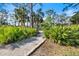 Scenic walking path lined with lush green foliage, inviting a peaceful stroll through nature at 235 Woodland Dr, Osprey, FL 34229