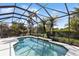 Screened in pool with clear blue water and lush landscaping in the background at 14614 Newtonmore Ln, Lakewood Ranch, FL 34202