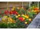 Colorful flower bed with red, yellow, and orange flowers lining the front of the property at 6821 Longboat S Dr, Longboat Key, FL 34228