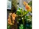 Picturesque front yard featuring vibrant orange orchids growing by the front steps at 6821 Longboat S Dr, Longboat Key, FL 34228