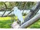 Lovely full shot of a great egret on a tree branch with water and trees in the background at 4714 Potomac Cir, Bradenton, FL 34210