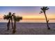 Tranquil beach scene with palm trees during sunset at 777 N Manasota Key Rd, Englewood, FL 34223