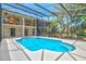 A private pool with glass screen showcasing a stunning garden in the background at 424 Cezanne Dr, Osprey, FL 34229