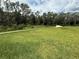 Expansive backyard with a well-maintained lawn and lush greenery, perfect for outdoor activities at 6614 162Nd E Pl, Parrish, FL 34219