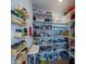 Spacious walk-in pantry with custom shelving offering plenty of storage for food and kitchen items at 6614 162Nd E Pl, Parrish, FL 34219