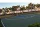 Outdoor basketball court with palm trees in the background at 12571 Night View Dr, Sarasota, FL 34238