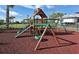 Community playground with slide, swings, and climbing structure at 5607 Tidewater Preserve Blvd, Bradenton, FL 34208