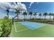 Community basketball court featuring palm tree landscaping with an adjacent body of water in the background at 9048 Bernini Pl, Sarasota, FL 34240