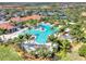 Aerial view of a large community pool area at Sarasota National, surrounded by palm trees and lounge chairs at 23703 Waverly Cir, Venice, FL 34293